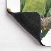 Tweet Trio Mousemat Muismat (Hoek)