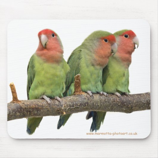 Tweet Trio Mousemat Muismat (Voorkant)