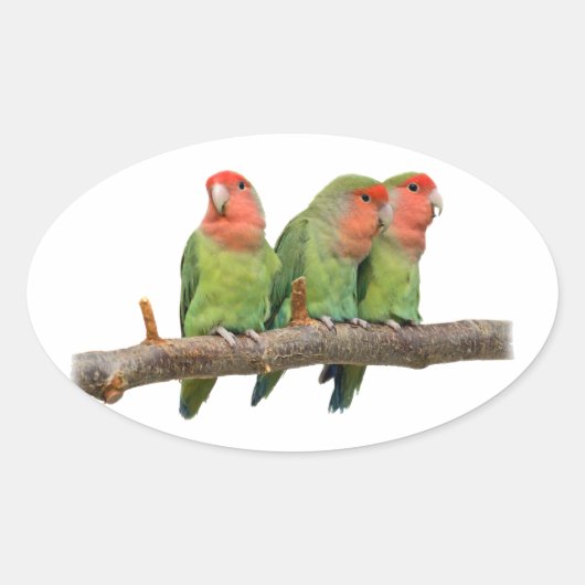 Tweet Trio-Sticker Ovale Sticker (Voorkant)