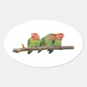 Tweet Trio-Sticker Ovale Sticker