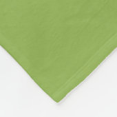 Tweetaangradiënt ombre groen fleece deken (Hoek)