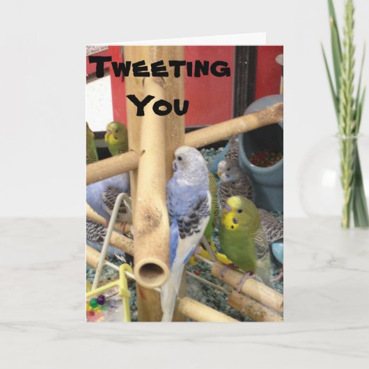 "TWEETING" OM TE ZEGGEN DAT HET EENVOUDIGER IS FEESTDAGEN KAART (Voorkant)