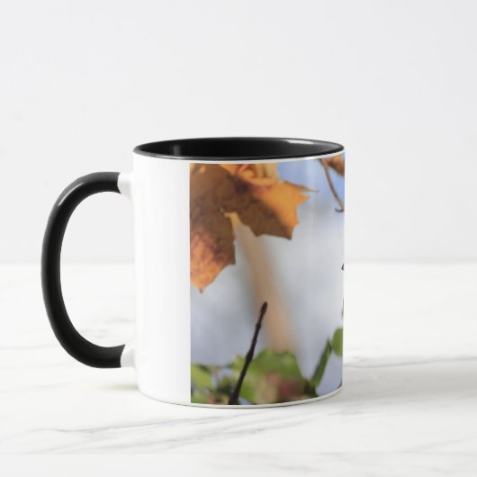 Tweetonige mok met afbeelding van een huisvink (Links)