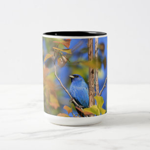 Tweetonige mok met afbeelding van indigo bunting