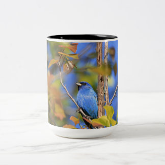Tweetonige mok met afbeelding van indigo bunting