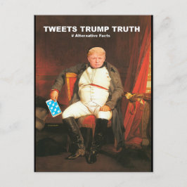 Tweets Trump Truth Briefkaart