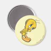 Tweety Bashful Magneet (Voorkant / Achterkant)