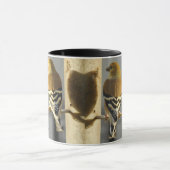 Tweety Bird Mok (Midden)