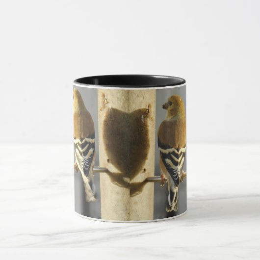 Tweety Bird Mok (Midden)