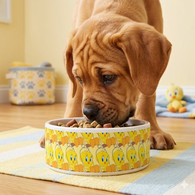 Tweety Bowl Voerbakje (Creator heeft geüpload)