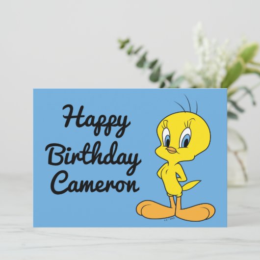 TWEETY™ | Clever Bird (Staand voorkant)