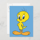 TWEETY™ | Clever Bird Briefkaart (Voorkant / Achterkant)