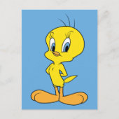 TWEETY™ | Clever Bird Briefkaart (Voorkant)