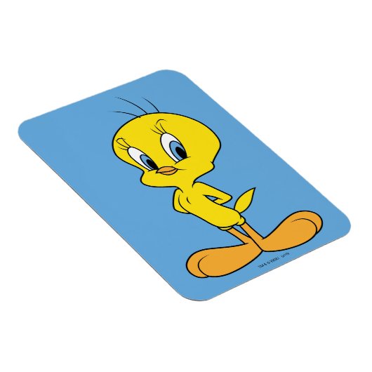TWEETY™ | Clever Bird Magneet (Rechterzijde)