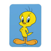 TWEETY™ | Clever Bird Magneet (Verticaal)