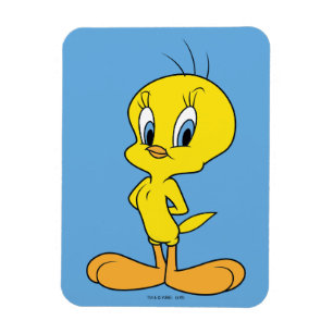 TWEETY™ Clever Bird Magneet