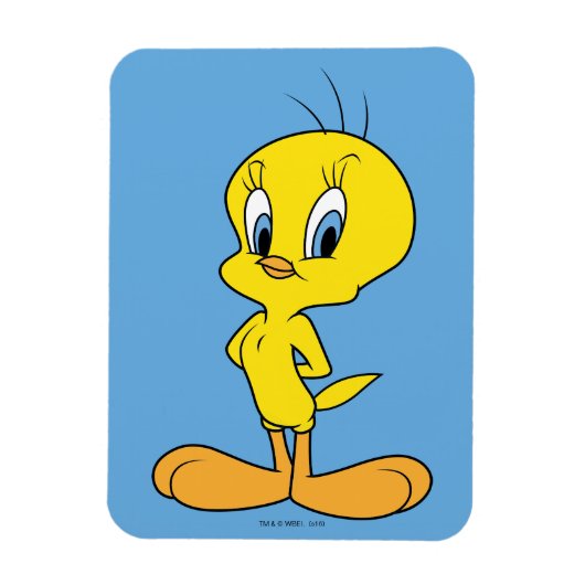 TWEETY™ | Clever Bird Magneet (Verticaal)