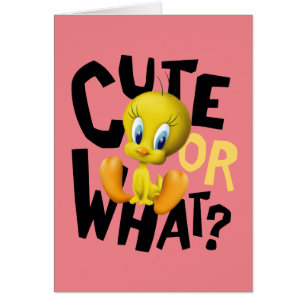TWEETY™ - Cute or What?