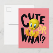 TWEETY™ - Cute or What? Briefkaart (Voorkant / Achterkant)