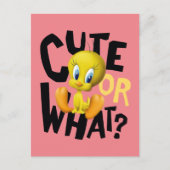 TWEETY™ - Cute or What? Briefkaart (Voorkant)