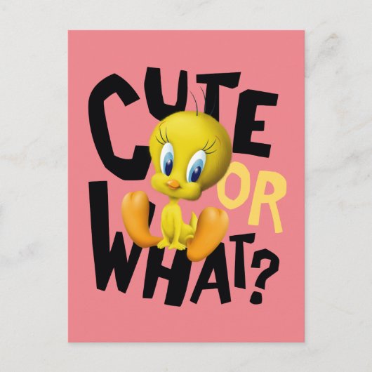 TWEETY™ - Cute or What? Briefkaart (Voorkant)