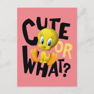 TWEETY™ - Cute or What? Briefkaart