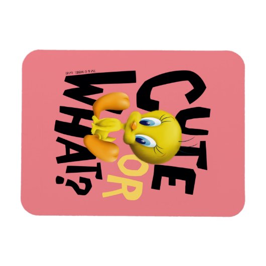 TWEETY™ - Cute or What? Magneet (Horizontaal)