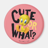 TWEETY™ - Cute or What? Magneet (Voorkant)