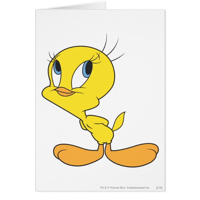TWEETY™ Hmm (Voorkant)