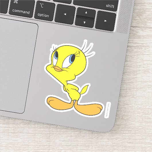 TWEETY™ Hmm Sticker (Detail)