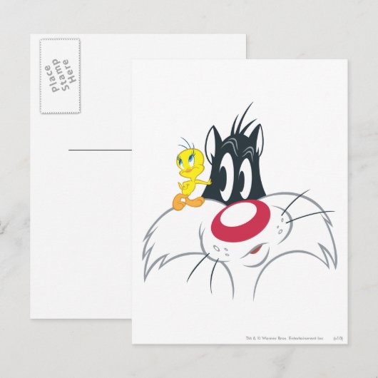 TWEETY™ in actie Pose 12 Briefkaart (Voorkant / Achterkant)
