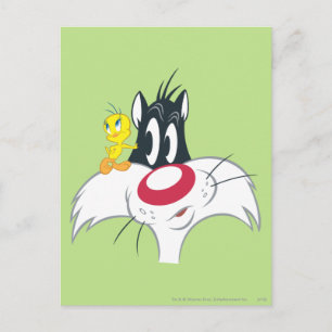 TWEETY™ in actie Pose 12 Briefkaart