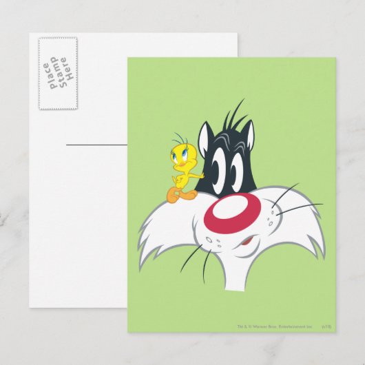 TWEETY™ in actie Pose 12 Briefkaart (Voorkant / Achterkant)