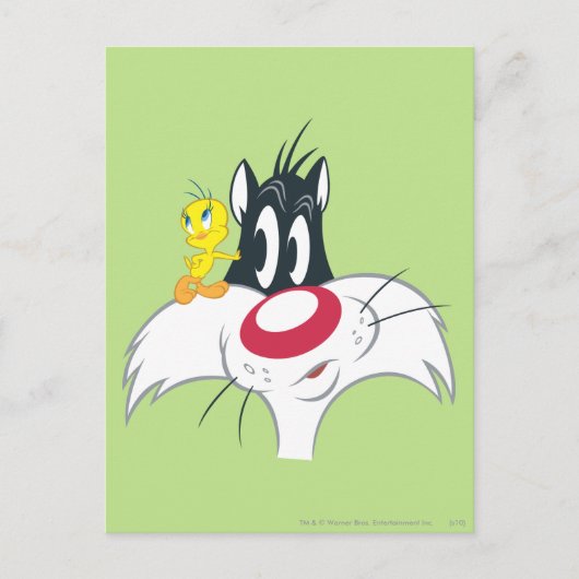 TWEETY™ in actie Pose 12 Briefkaart (Voorkant)