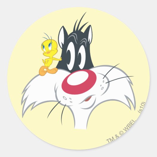 TWEETY™ in actie Pose 12 Ronde Sticker (Voorkant)