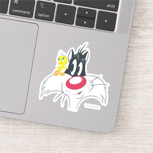 TWEETY™ in actie Pose Sticker (Detail)