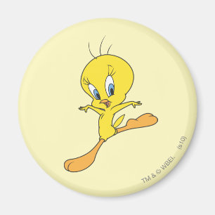 TWEETY™-landing Magneet