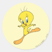 TWEETY™-landing Ronde Sticker (Voorkant)