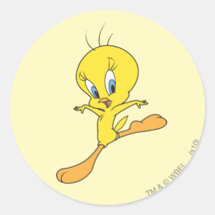 TWEETY™-landing Ronde Sticker