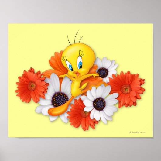 Tweety met Daisies Poster (Voorkant)