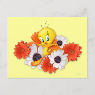 TWEETY™ met madeliefjes Briefkaart