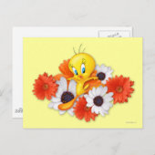TWEETY™ met madeliefjes Briefkaart (Voorkant / Achterkant)