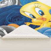 TWEETY™ met Rozen Sherpa Deken (3/4)