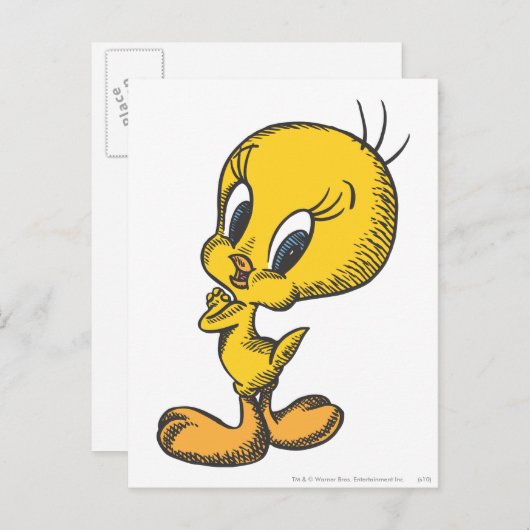 TWEETY™ Mooi Briefkaart (Voorkant / Achterkant)