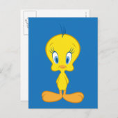 TWEETY™ | Onnocent Little Bird Briefkaart (Voorkant / Achterkant)