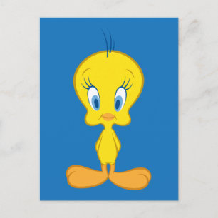 TWEETY™   Onnocent Little Bird Briefkaart