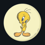 Tweety Shy Magneet<br><div class="desc">Tweety Character Art</div>