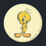 Tweety Shy Magneet<br><div class="desc">Tweety Character Art</div>