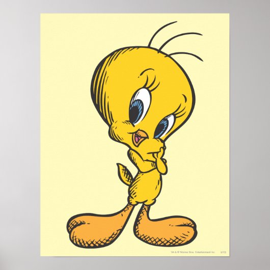 Tweety Shy Poster (Voorkant)