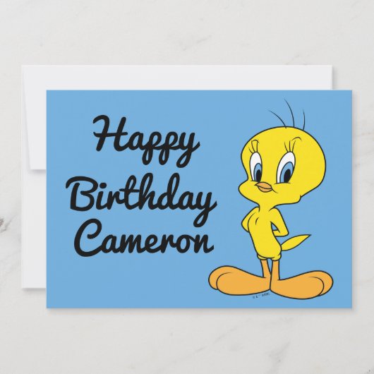 TWEETY™ | Slimme Vogel (Voorkant)